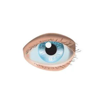 Realistic style vector illustration with eye on white background Stock Illustration