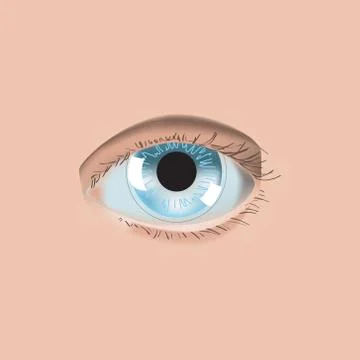 Realistic style vector illustration with eye and contact lens Illustrazione stock