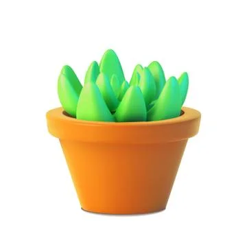 Realistic succulent front view, vector of indoor plant in pot. Stock Illustration