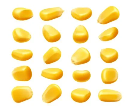 Realistic sweet corn kernels isolated vector set Illustrazione stock