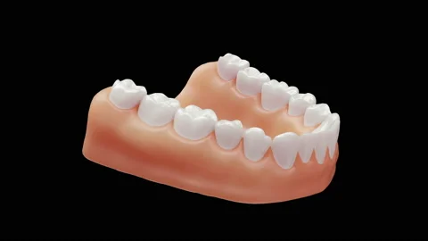 Realistic teeth model with alpha channel, looping 4k video Stock Footage 131105018