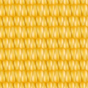 Realistic texture corn, vector illustration. Stock Illustration
