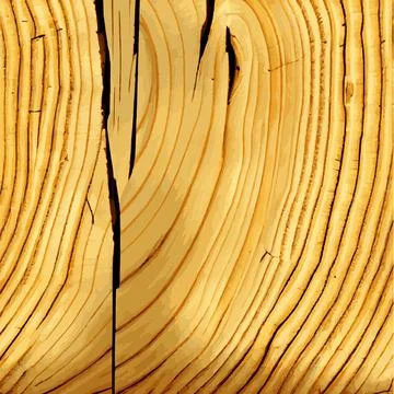 Realistic texture of the tallest green tree in the world, made in the USA - V Stock Illustration