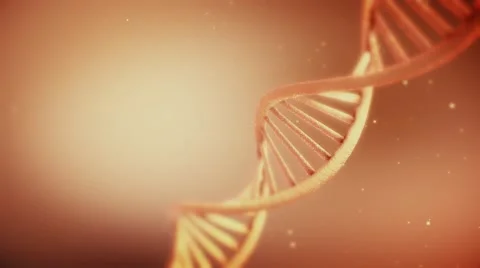 Realistic textured DNA inside human body Stock Footage 68055019