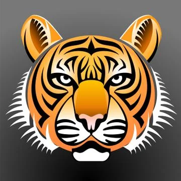 Realistic tiger's face Stock Illustration