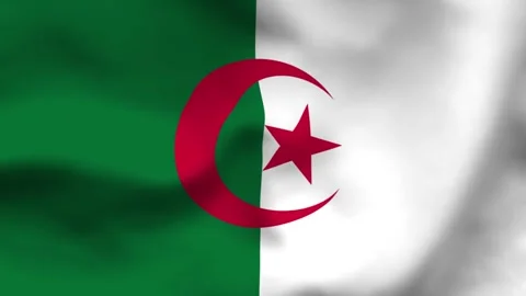 Realistic top-down view of the Algerian flag. Features green and white panels Stock Footage 335161206