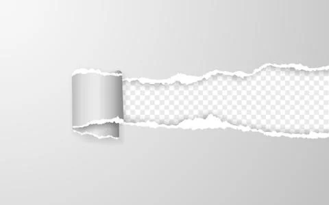 Realistic torn and twisted paper strip. Torn paper edge. Vector illustration. Stock Illustration