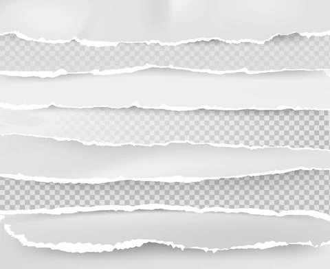 Realistic torn edge. White blank notepad sheet layout with ripped edges, grun Stock Illustration