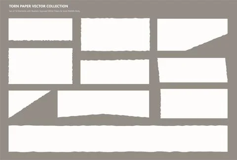 Realistic torn paper vector elements and ragged edge pieces collection Stockillustratie