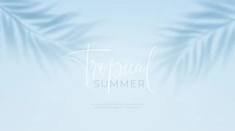 Realistic transparent shadow from a leaf of a palm tree on the blue background Stock Illustration