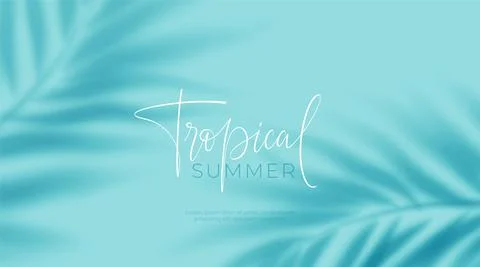 Realistic transparent shadow from a leaf of a palm tree on the blue background Stock Illustration