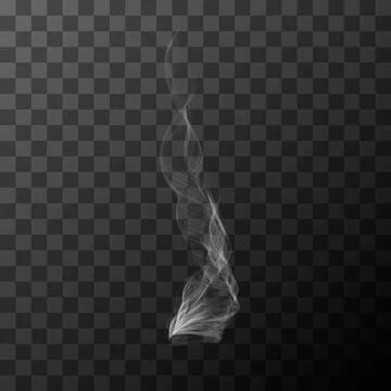 Realistic transparent white smoke vector object Stock Illustration