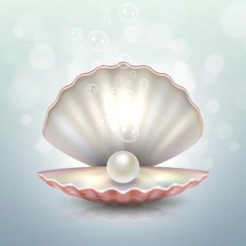 Realistic vector beautiful natural open sea pearl shell closeup with reflection Illustrazione stock