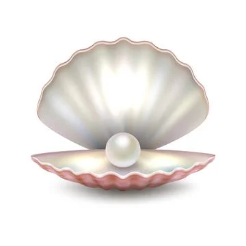 Realistic vector beautiful natural open sea pearl shell closeup isolated on w Stock Illustration