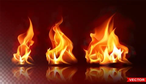Realistic vector burning fire flame bright element Stock Illustration