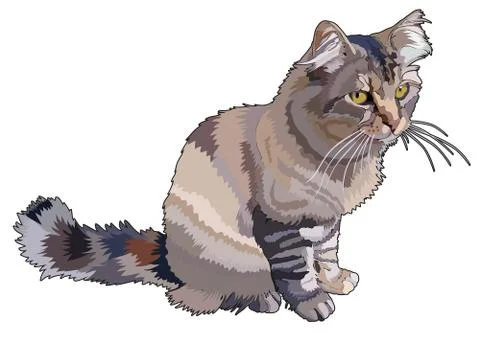 Realistic vector cat striped Stock Illustration