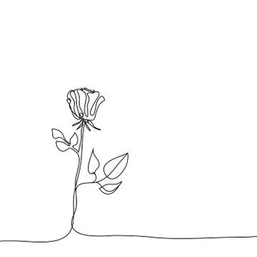 Realistic vector elements outline rose Stock Illustration