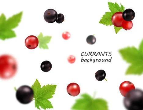 Realistic vector falling red and black currant isolated on transparent backgr Stock Illustration