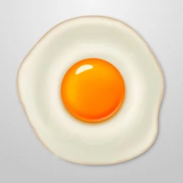 Realistic vector fried egg icon isolated on white background. Design template. Stock-Illustration