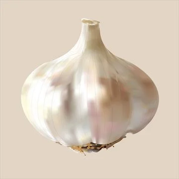 Realistic Vector Garlic with Gradient Mesh on Soft Beige Background Stock Illustration