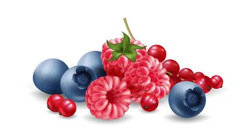 Realistic vector illustration set features a group of ripe and juicy berrie.. Stock Illustration