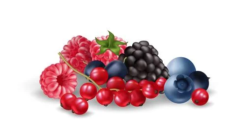 Realistic vector illustration set features a group of ripe and juicy berrie.. 库存插图