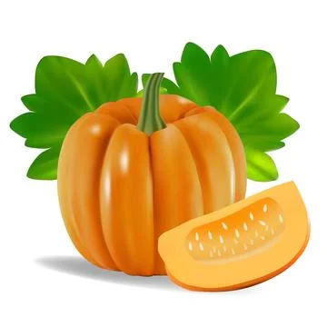 Realistic vector illustration of whole pumpkin with leaves and pumpkin slice. Stock Illustration