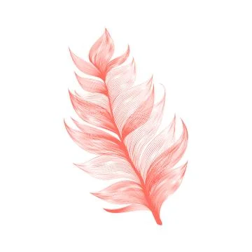 Realistic Vector Isolated Flying Feather Stock Illustration