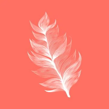 Realistic Vector Isolated Flying Feather Stock Illustration