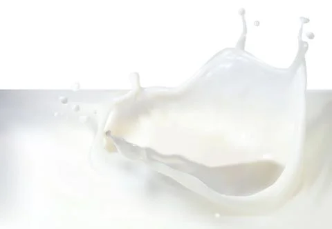 Realistic vector milk drops and blots splash 스톡 일러스트