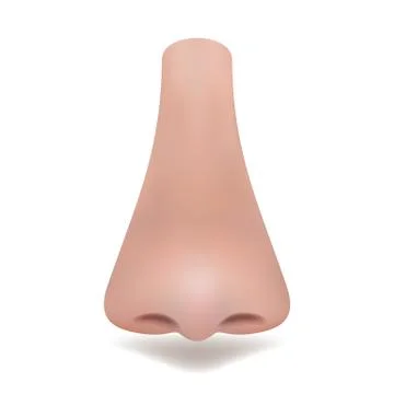 Realistic vector nose on white background Stock Illustration