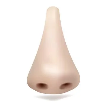 Realistic vector nose on white background Stock Illustration