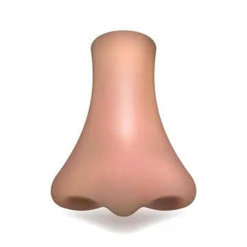 Realistic vector nose on white background 스톡 일러스트