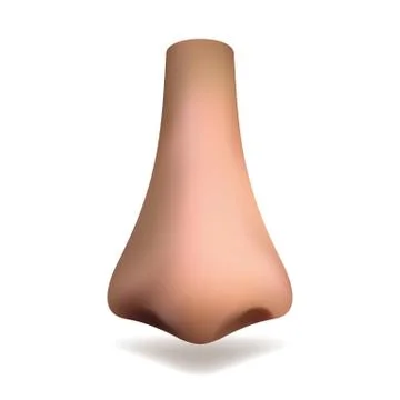 Realistic vector nose on white background Stock-Illustration