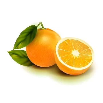 Realistic vector orange fruit isolate. Orange with leaves isolated on white. Stock Illustration