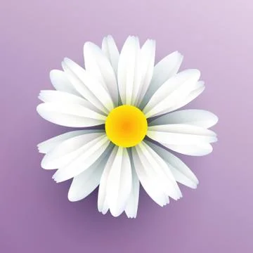 Realistic vector. Paper Daisy flower. Illustrazione stock