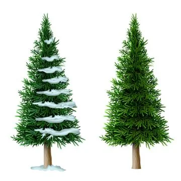 Realistic vector pine tree set isolate Illustrazione stock