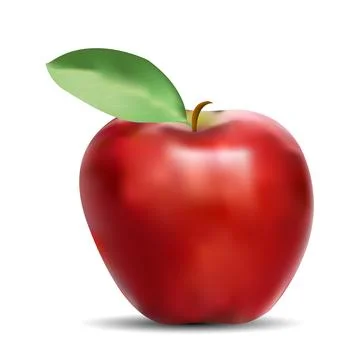Realistic vector of red apple fruit. White background Stock Illustration