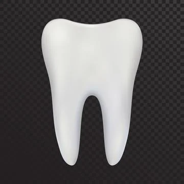 Realistic vector tooth molar. Symbol of dentistry and health of teeth. Stock Illustration