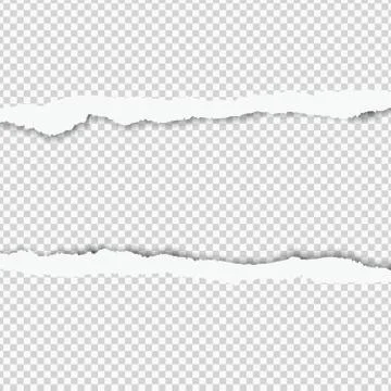 Realistic vector torn paper with space for your design. Stock Illustration