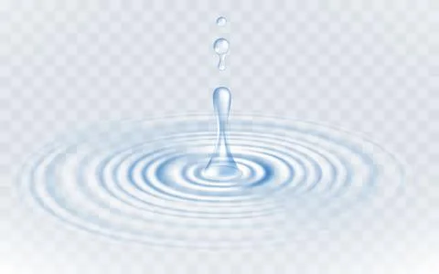 Realistic vector transparent drops and circle ripple on the water isolated on Stock Illustration