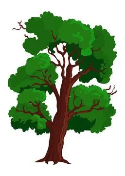 Realistic vector tree with leaves stock illustration Stock Illustration