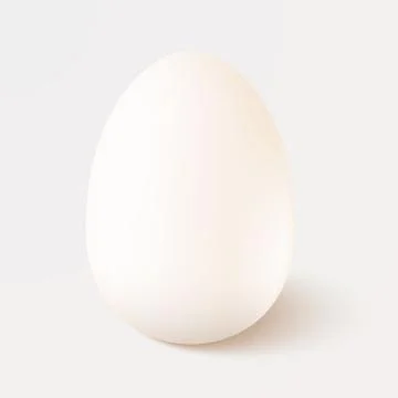 Realistic vector white single chicken egg isolated on white background. Design Stock Illustration