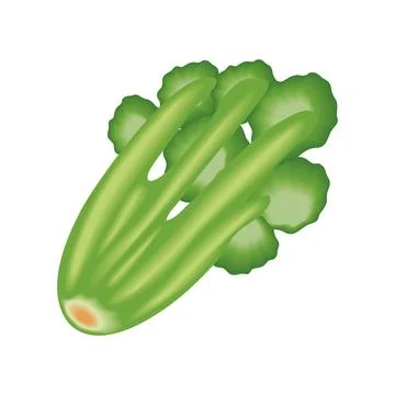 Realistic vegetable celery Stock Illustration