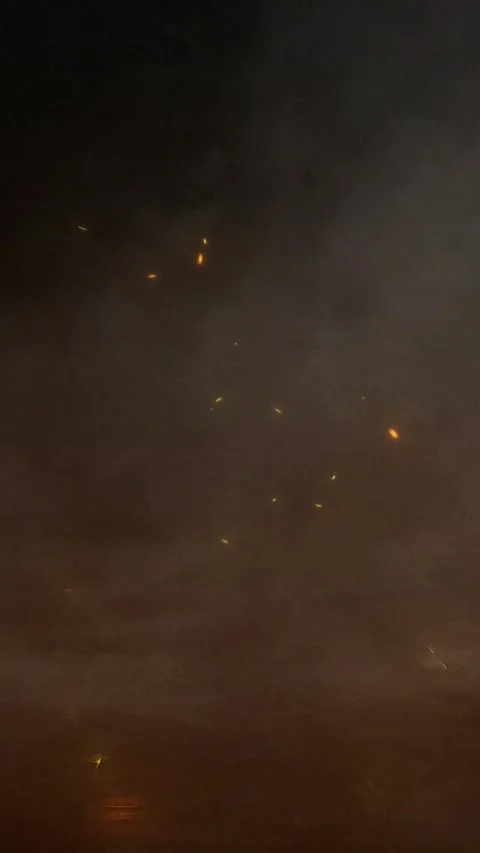 Realistic vertical full HD fire. 스톡 동영상 329983281