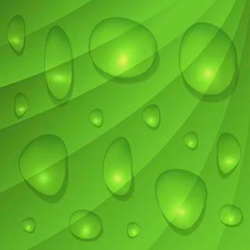 Realistic water drops Stock Illustration