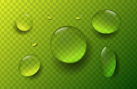 Realistic water drops pack isolated on transparent green background. Detailed Stock Illustration