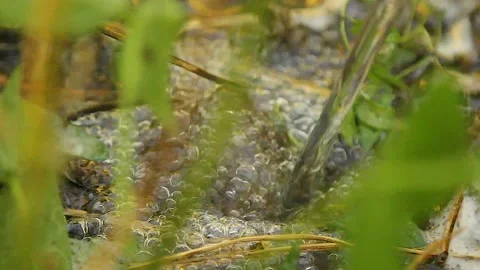 Realistic water splash Stock Footage 164923193