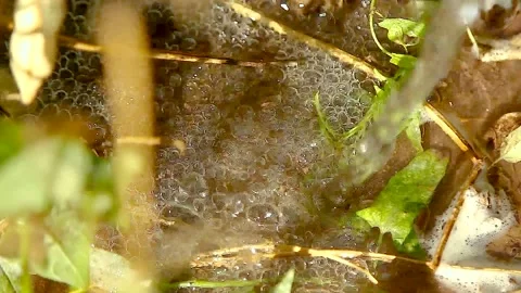 Realistic water splash Stock Footage 164923211