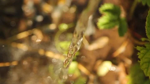 Realistic water splash Stock Footage 164923225